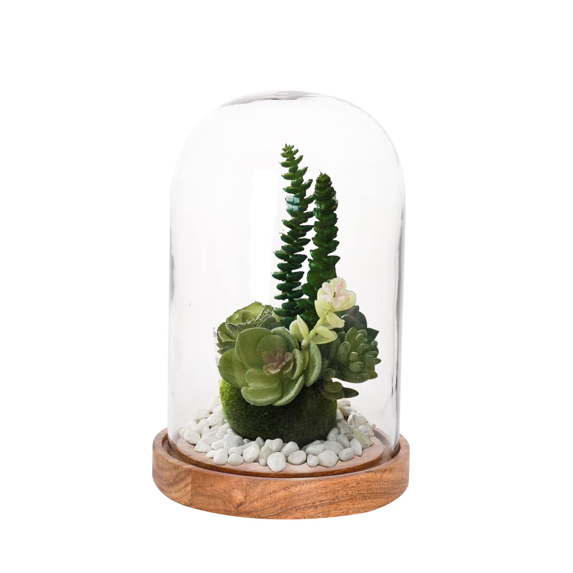 Kraftyhome Decorative Cake Dome | Wooden Cake Stand With Cloche/Dome | Decorative Clear Glass Dome, Cloche Bell Jar Display | De